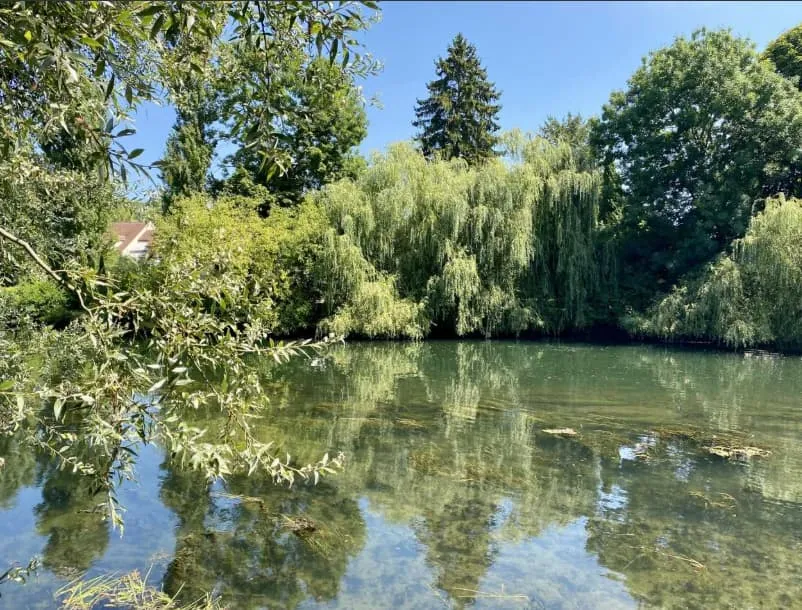 Descente du Loing en canoë - photo 2