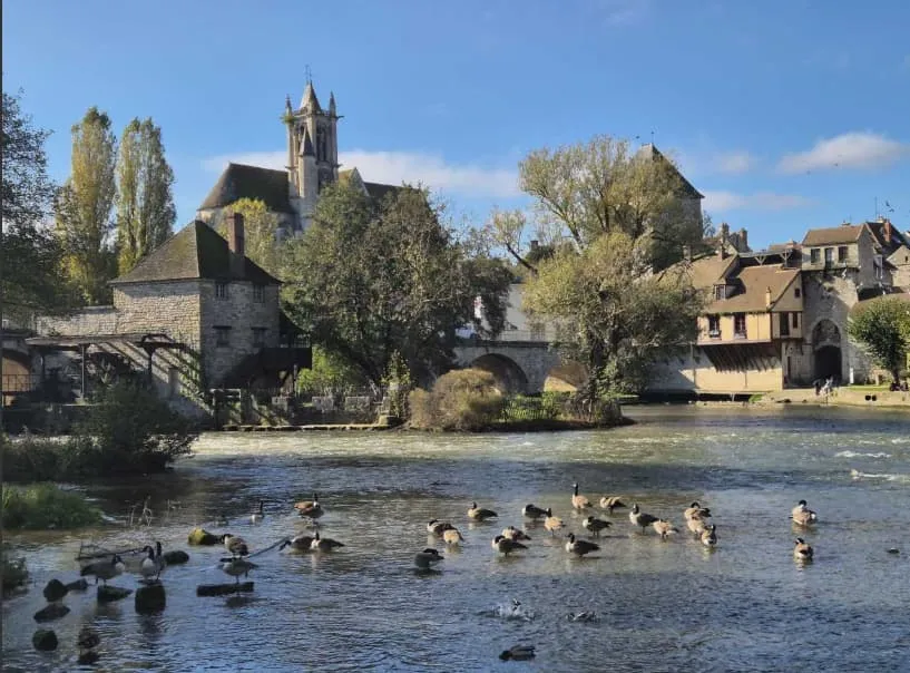 Canoë, histoire et art