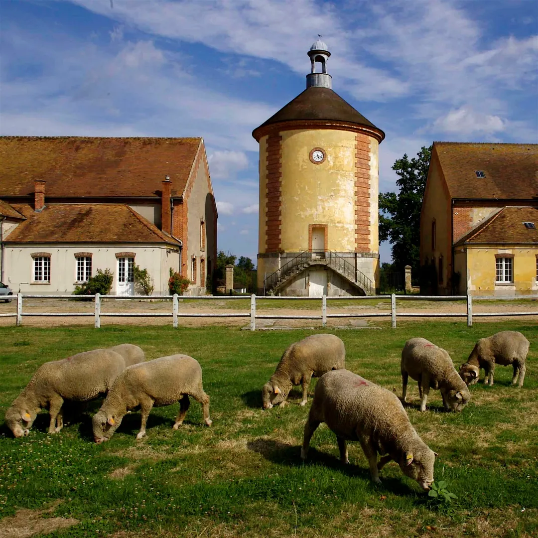 Au cœur de la ferme royale  - photo 3