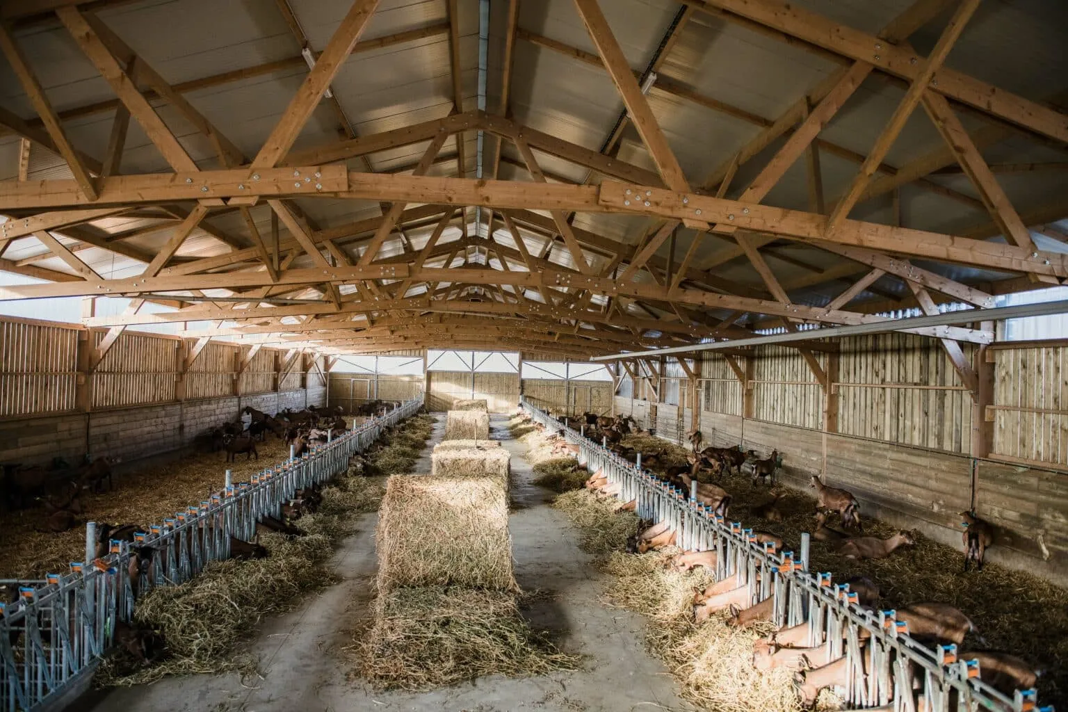 Saveurs fromagères à la chèvrerie - photo 2