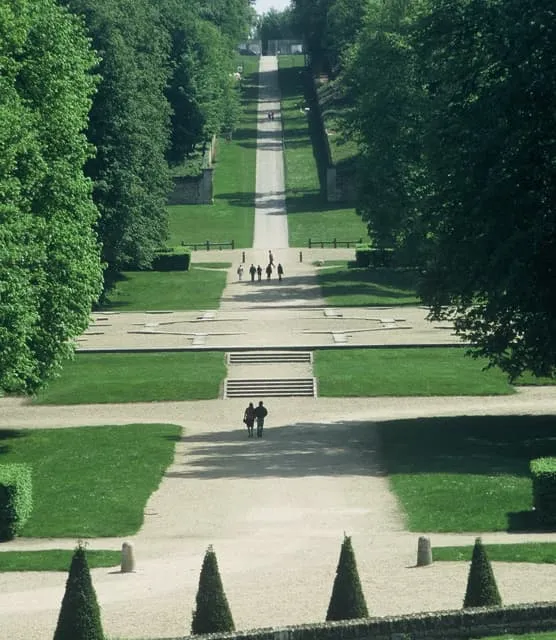 Le domaine du roi soleil - photo 2